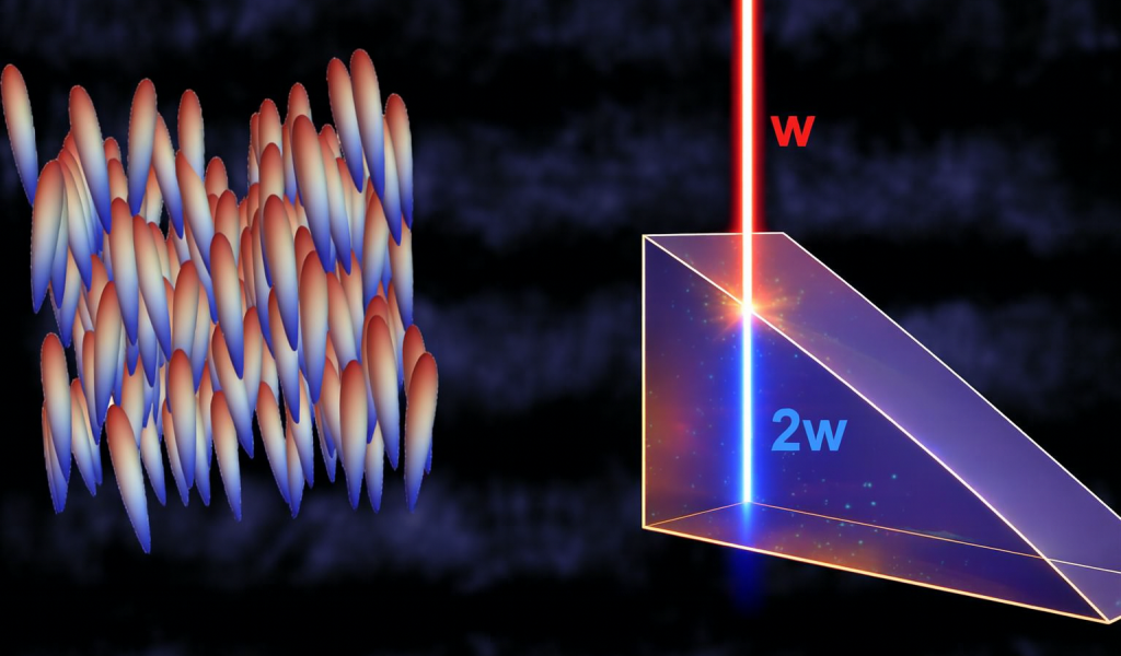 FNLCs for Nonlinear Photonics: Second-Order Susceptibilities