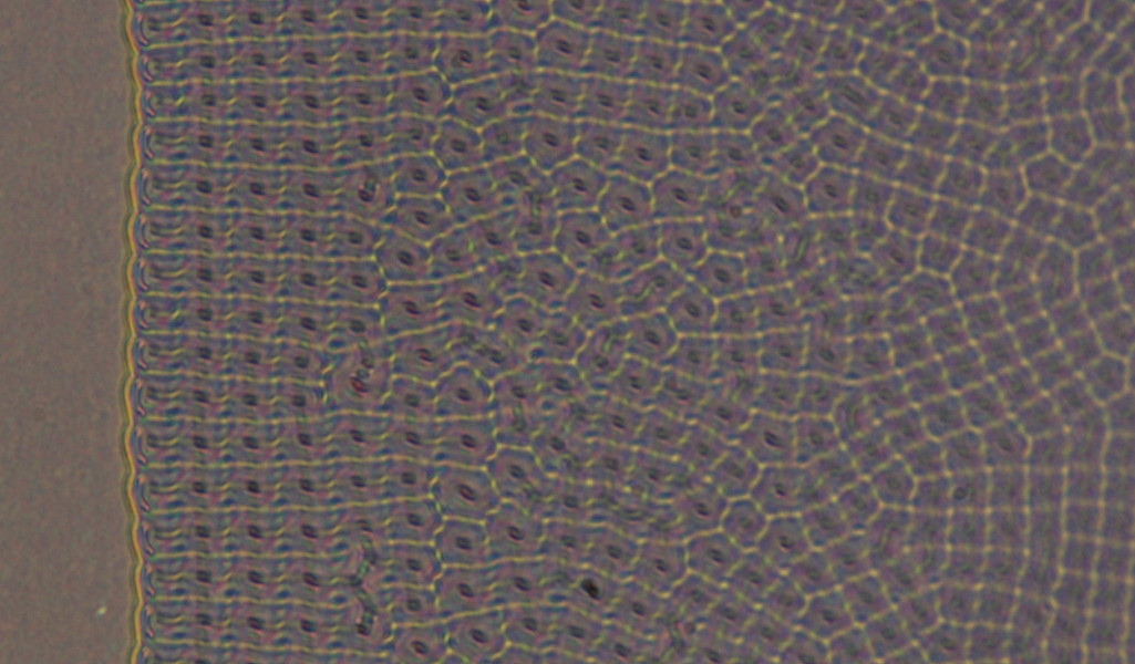 Advanced Materials: Polar patterns in chiral ferroelectric fluids