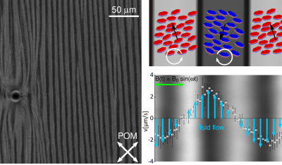 Discovery of spontaneous chiral symmetry breaking in ferromagnetic ferrofluids