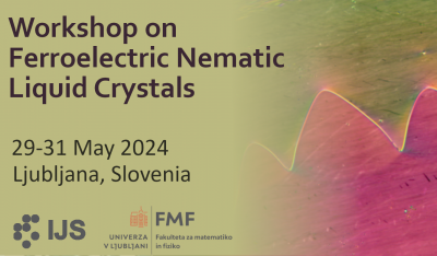 Workshop on Ferroelectric Nematic Liquid Crystals