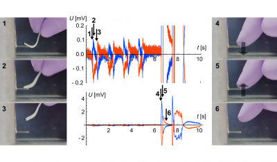 Demonstration of viscous magneto-electric response in ferroelectric nematics just published in Advanced Functional Materials.
