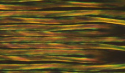 New Polar LC Phases and Room Temperature Fluid Ferroelectrics Revealed in Nature Communications