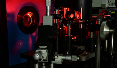Science Advances: Dynamics of proximity-induced magnetism at cobalt/molecular interfaces