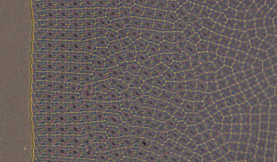 Advanced Materials: Polar patterns in chiral ferroelectric fluids