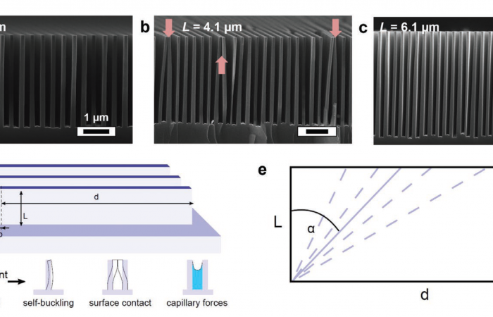 New method for fabrication of nanoscale pitch and microscale height lamellar structures published in Advanced Functional Materials 
