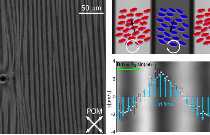 Discovery of spontaneous chiral symmetry breaking in ferromagnetic ferrofluids 