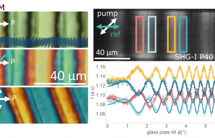 Polarization patterning in ferroelectric nematic liquid crystals published in Nature Communications. 