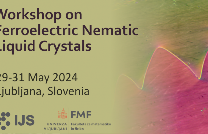 Workshop on Ferroelectric Nematic Liquid Crystals 