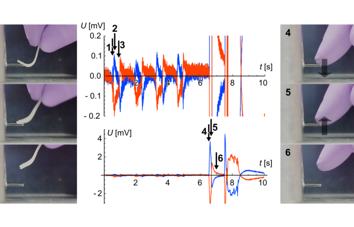 Demonstration of viscous magneto-electric response in ferroelectric nematics just published in Advanced Functional Materials. 