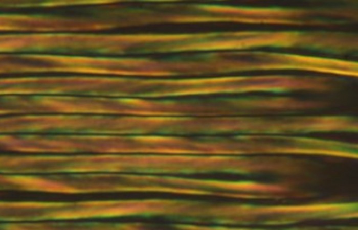 New Polar LC Phases and Room Temperature Fluid Ferroelectrics Revealed in Nature Communications 