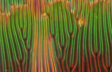 Antiferroelectric Order in Nematic Liquids: Flexoelectricity vs. Electrostatics 