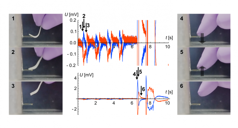 Demonstration of viscous magneto-electric response in ferroelectric nematics just published in  ...