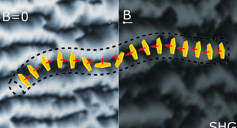 Multiferroic Liquids: Ferroelectric and Ferromagnetic Order in a Hybrid Nanoparticle-Liquid  ...