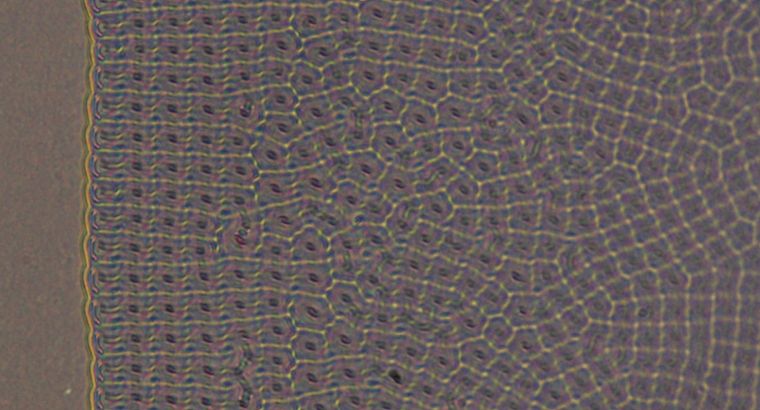 Advanced Materials: Polar patterns in chiral ferroelectric fluids 