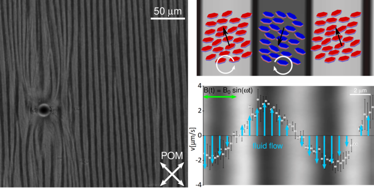 Discovery of spontaneous chiral symmetry breaking in ferromagnetic ...